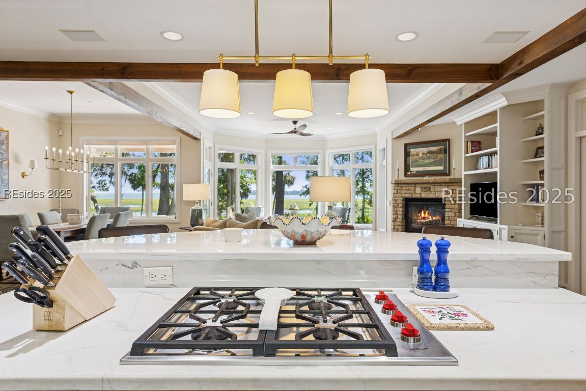 238 Spring Island Drive