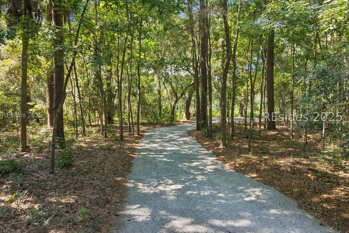 238 Spring Island Drive