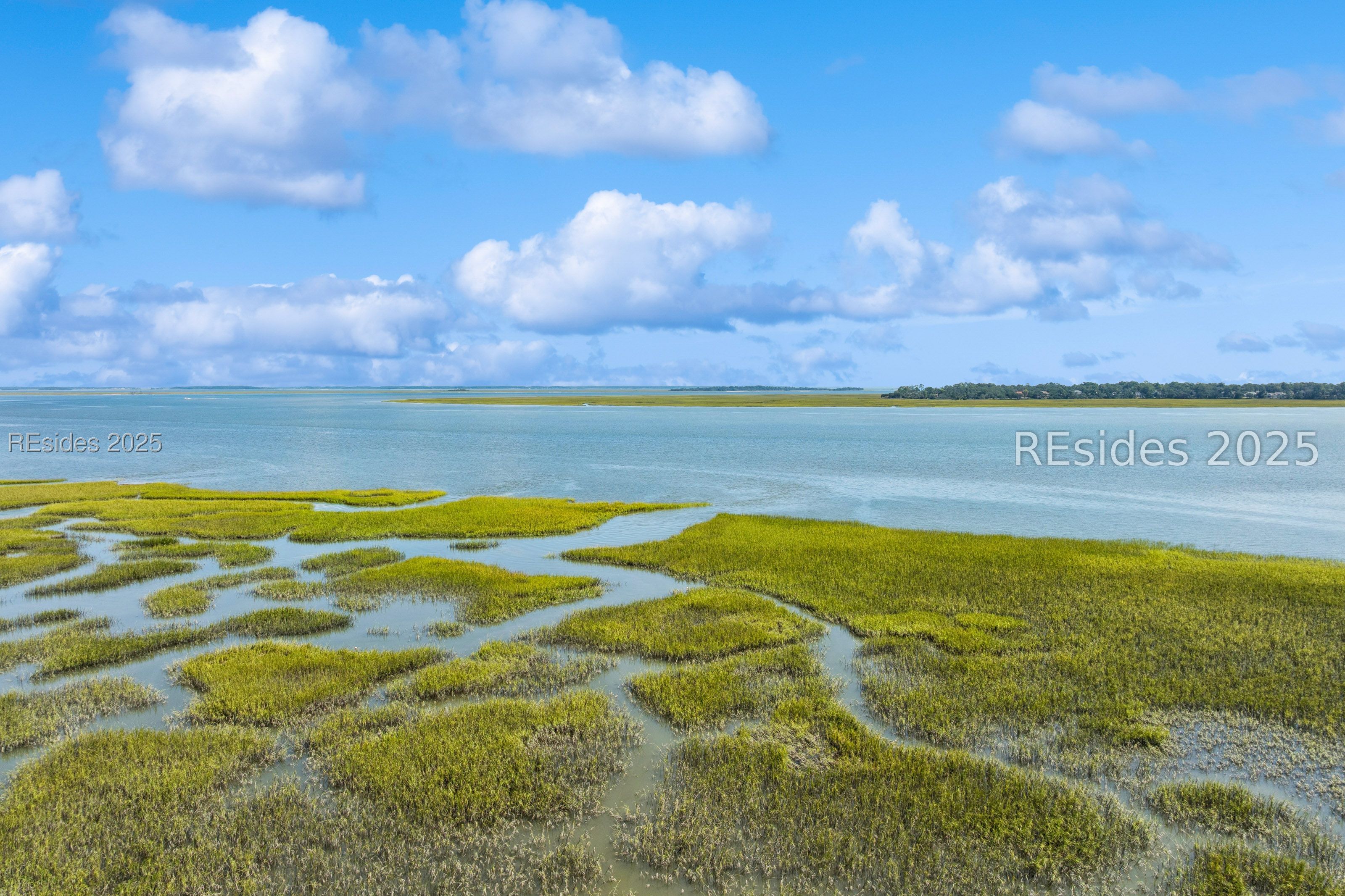 238 Spring Island Drive