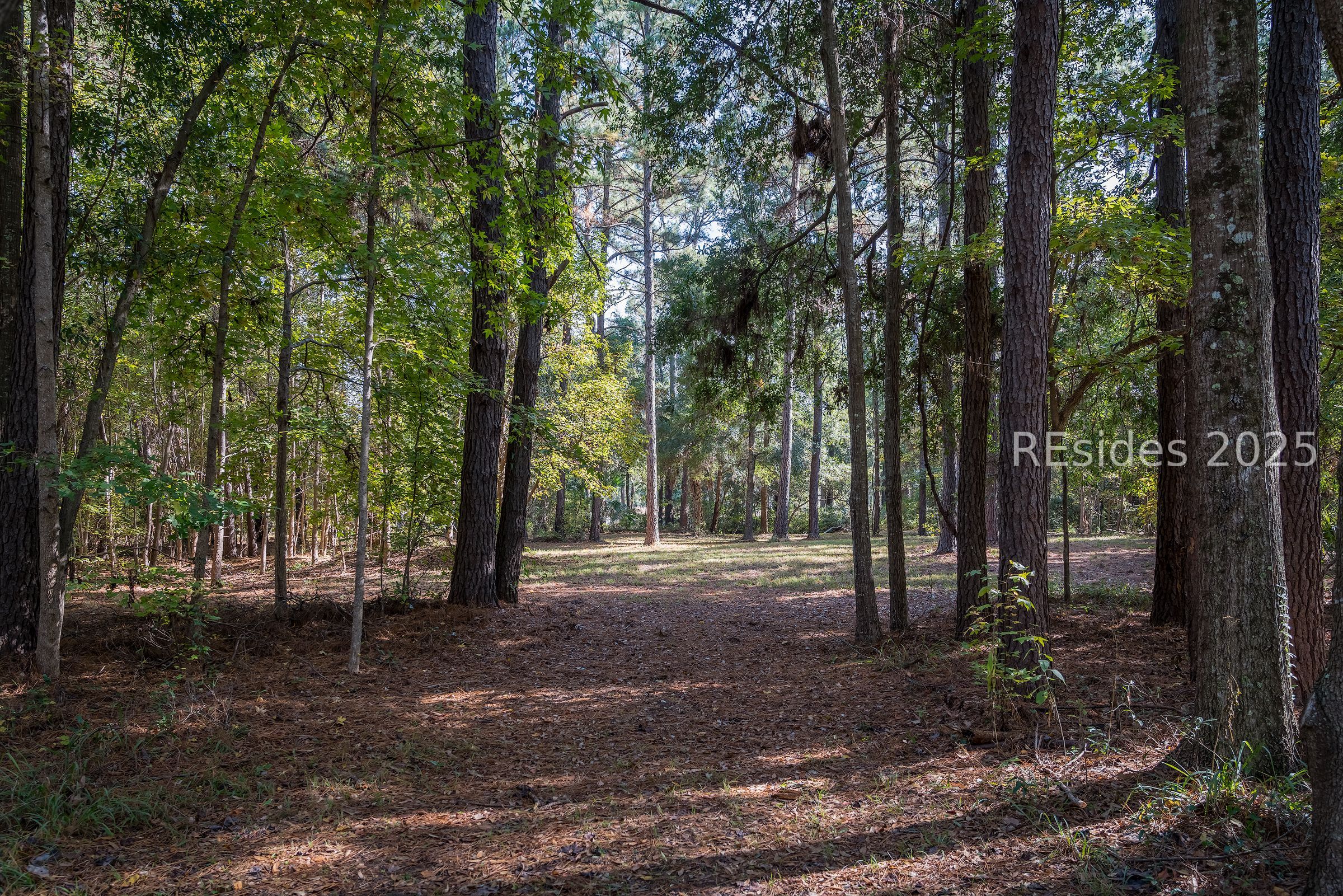 36 Bee Tree Drive