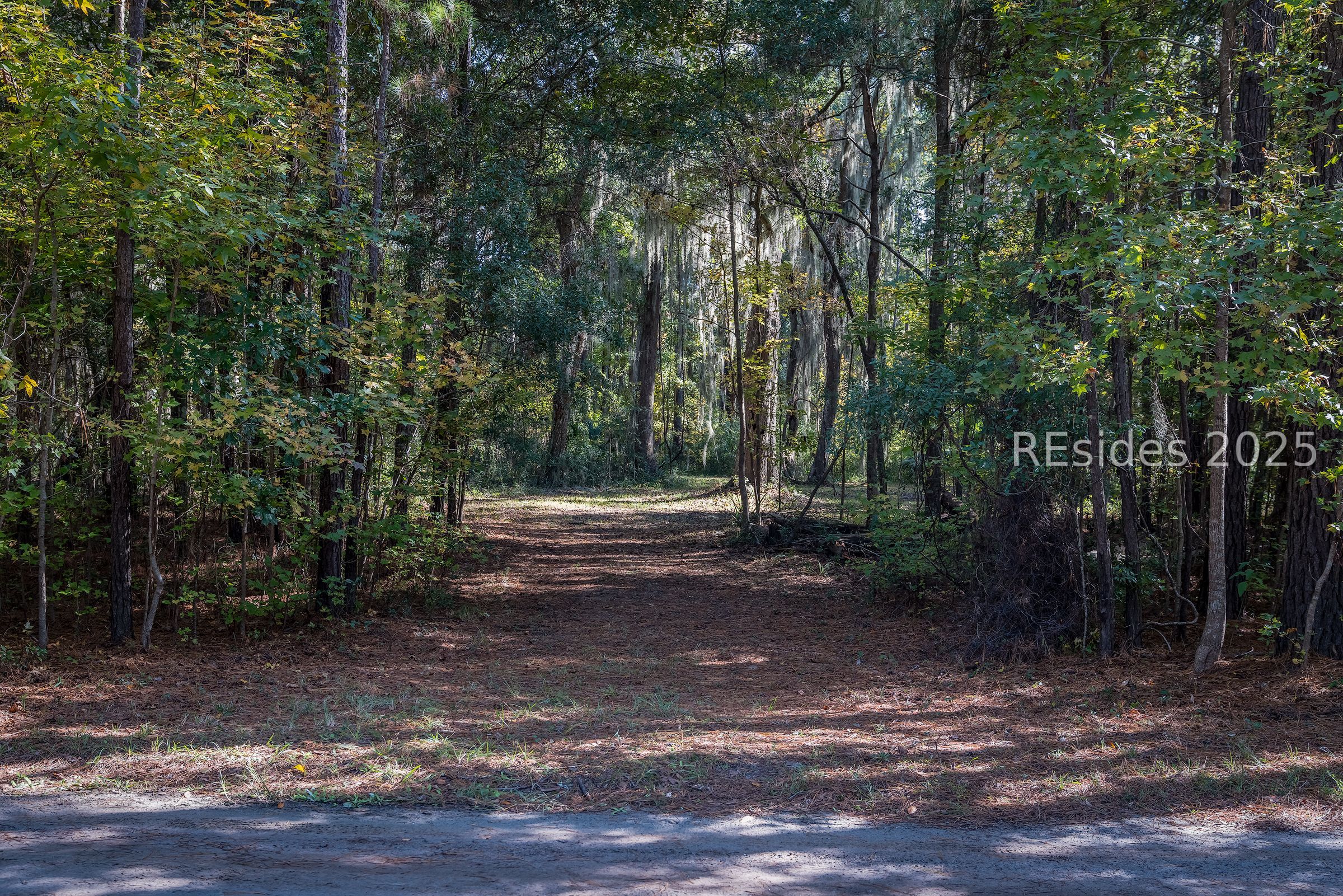 36 Bee Tree Drive