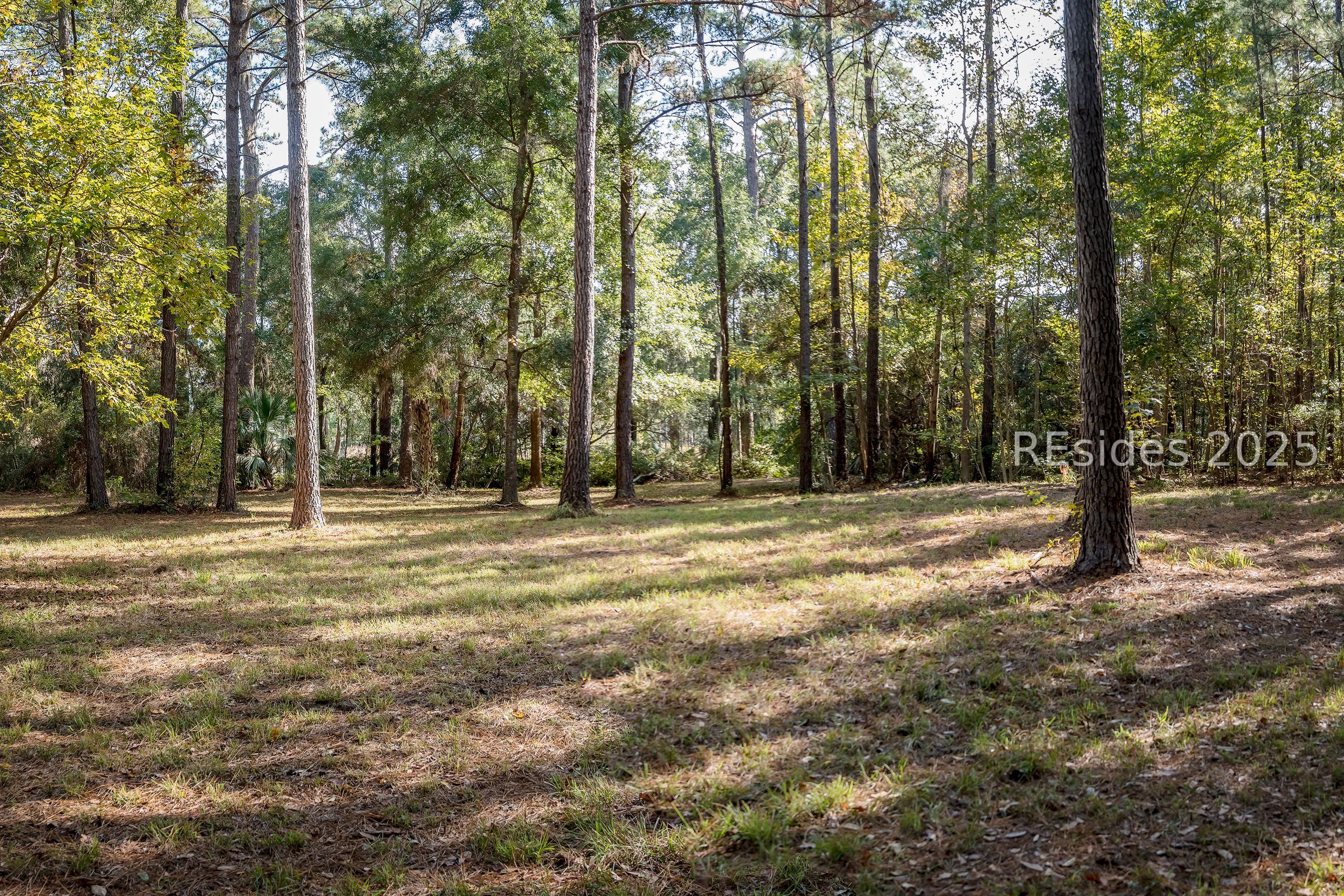 36 Bee Tree Drive