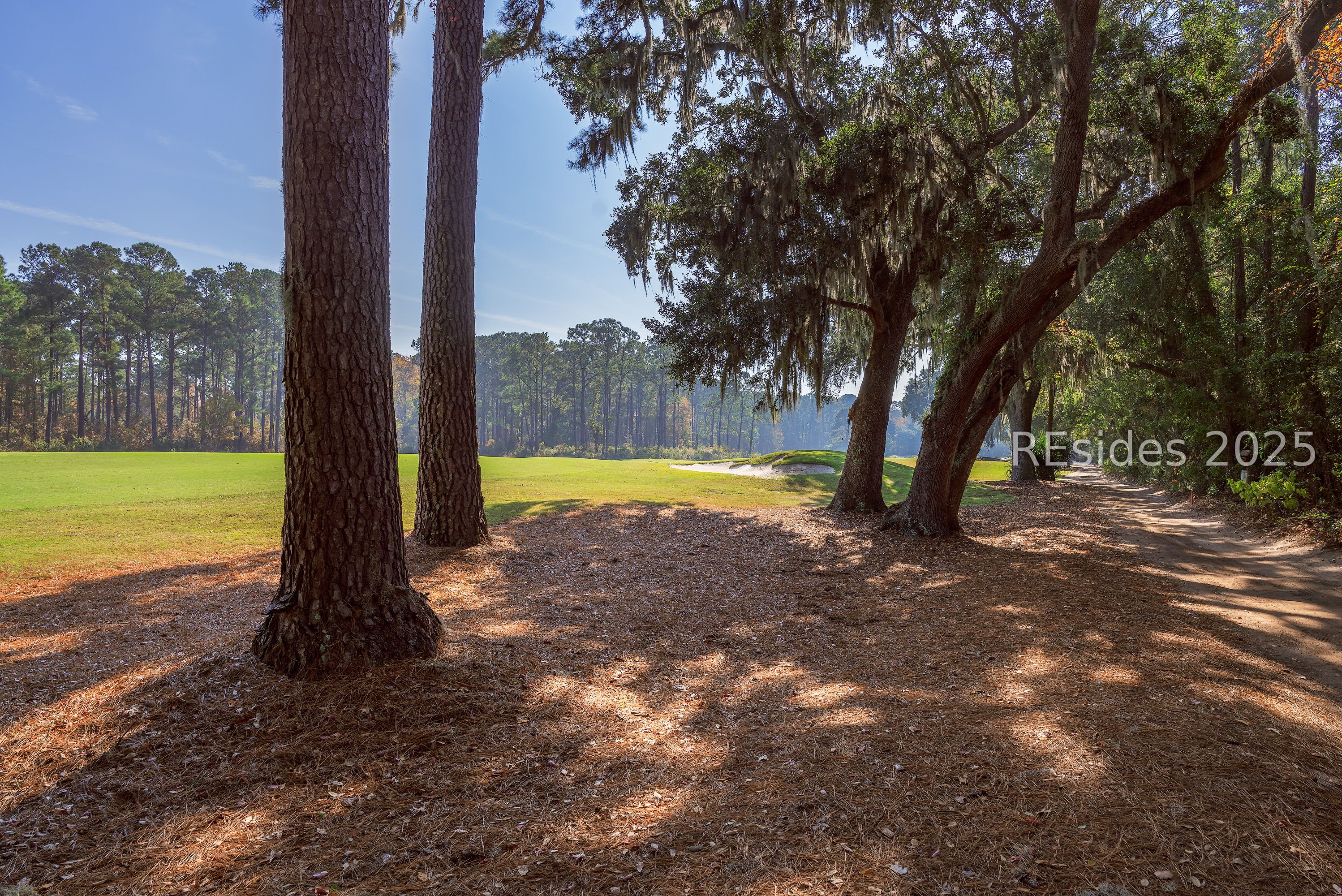 30 Bee Tree Drive
