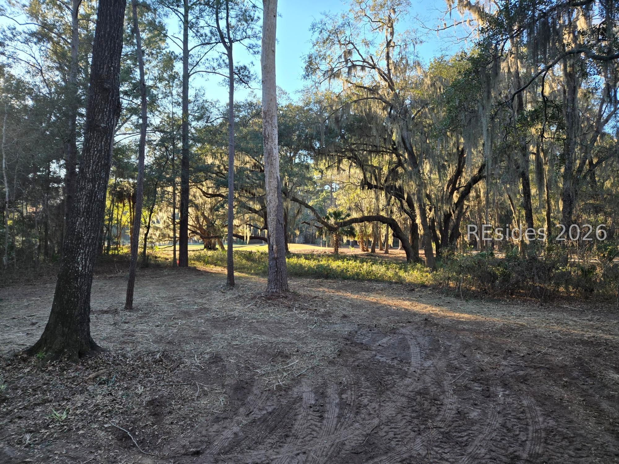 275 Spring Island Drive