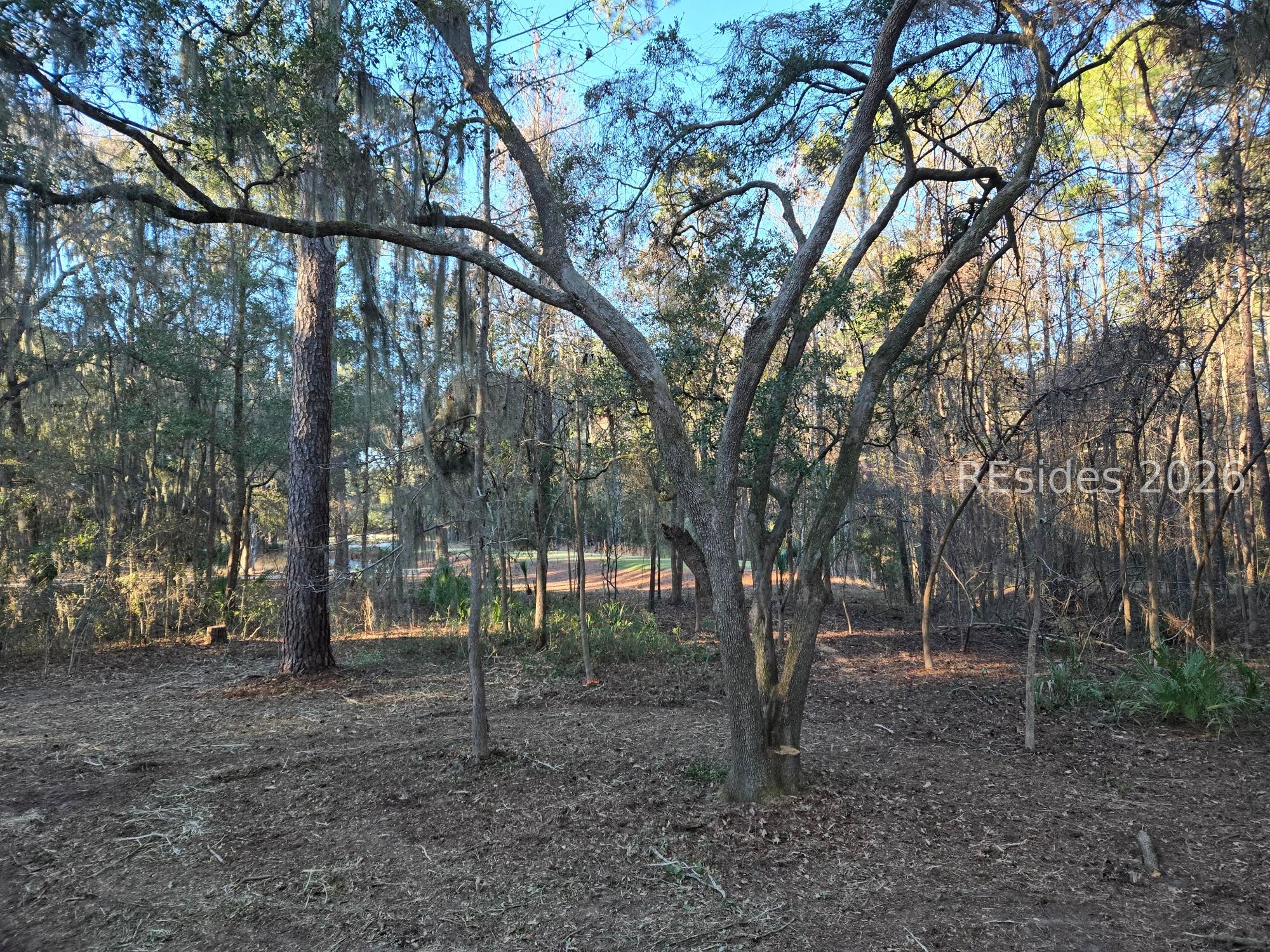 275 Spring Island Drive