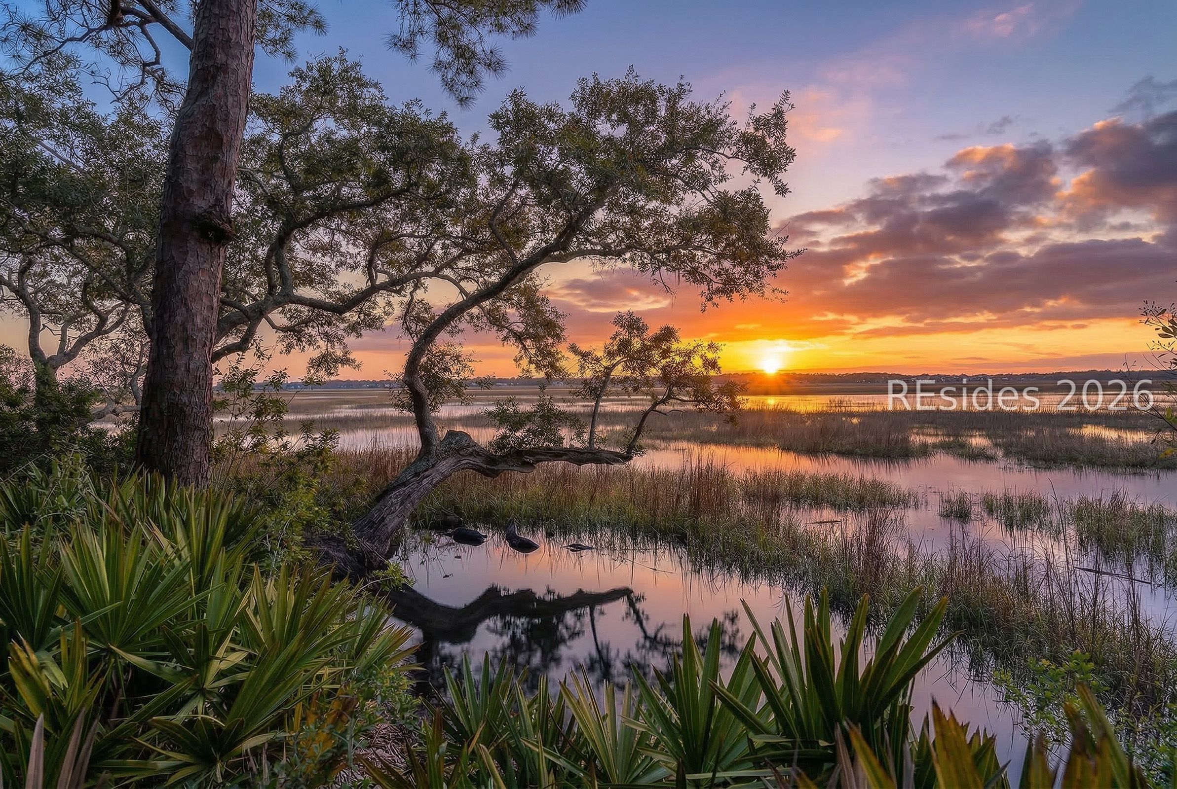 206 Spring Island Drive