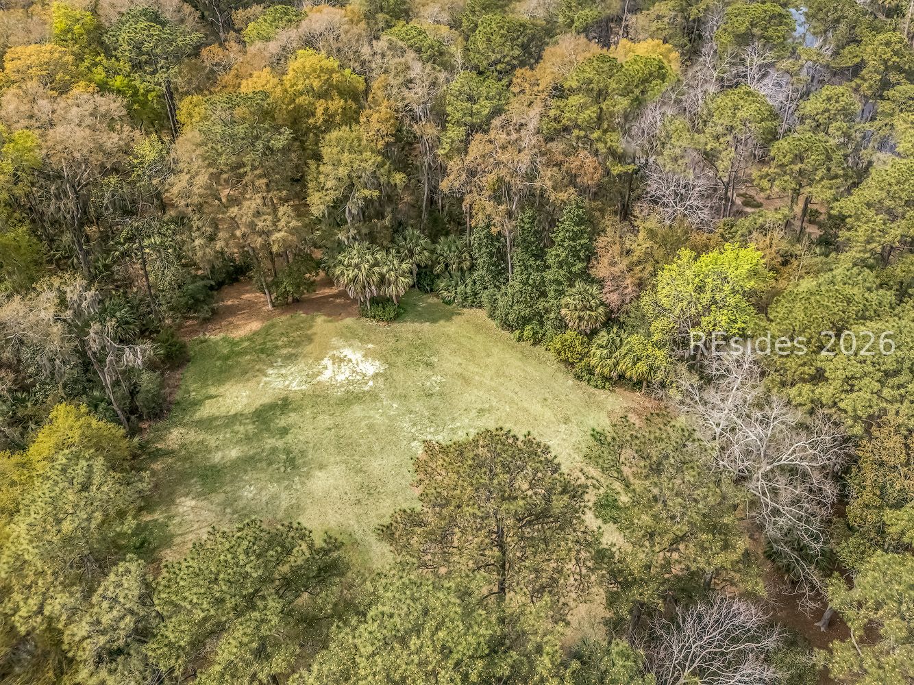 206 Spring Island Drive