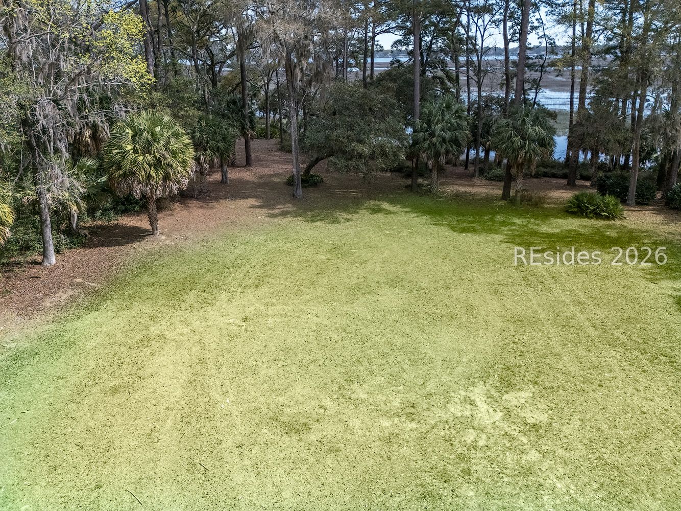 206 Spring Island Drive