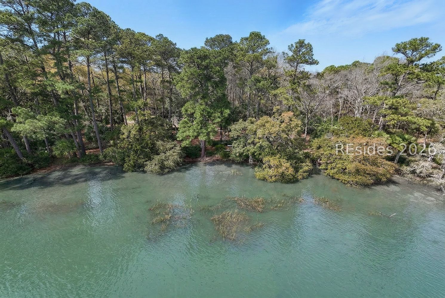 206 Spring Island Drive