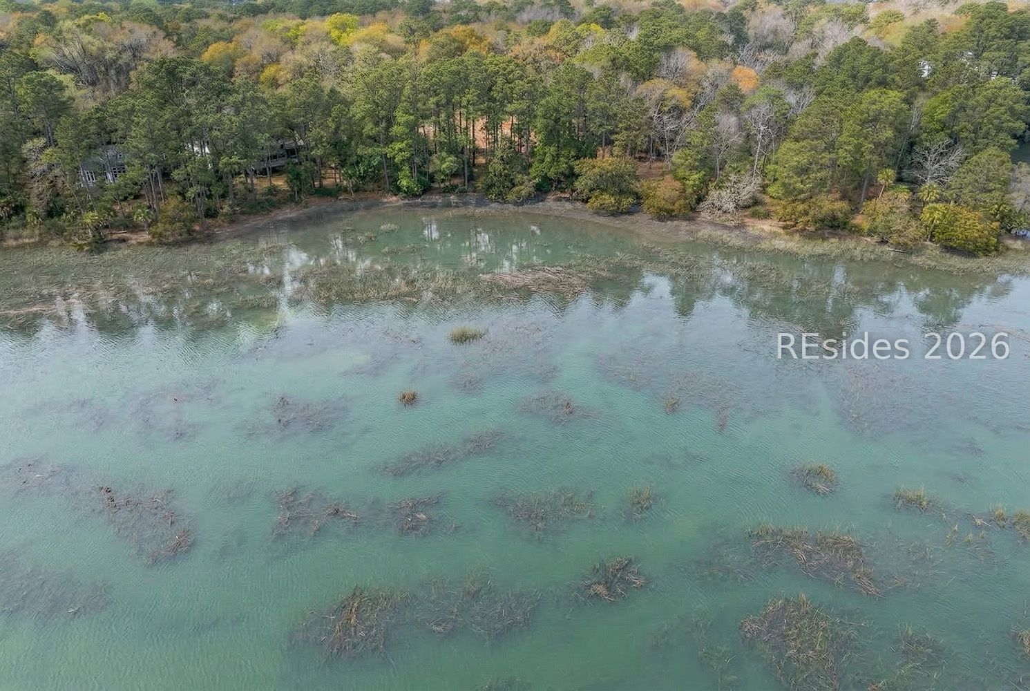 206 Spring Island Drive