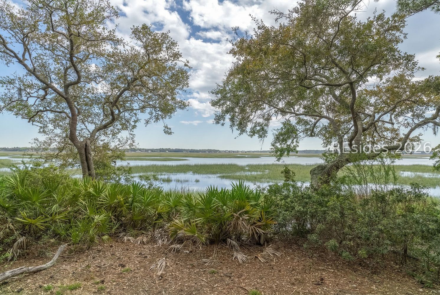 206 Spring Island Drive