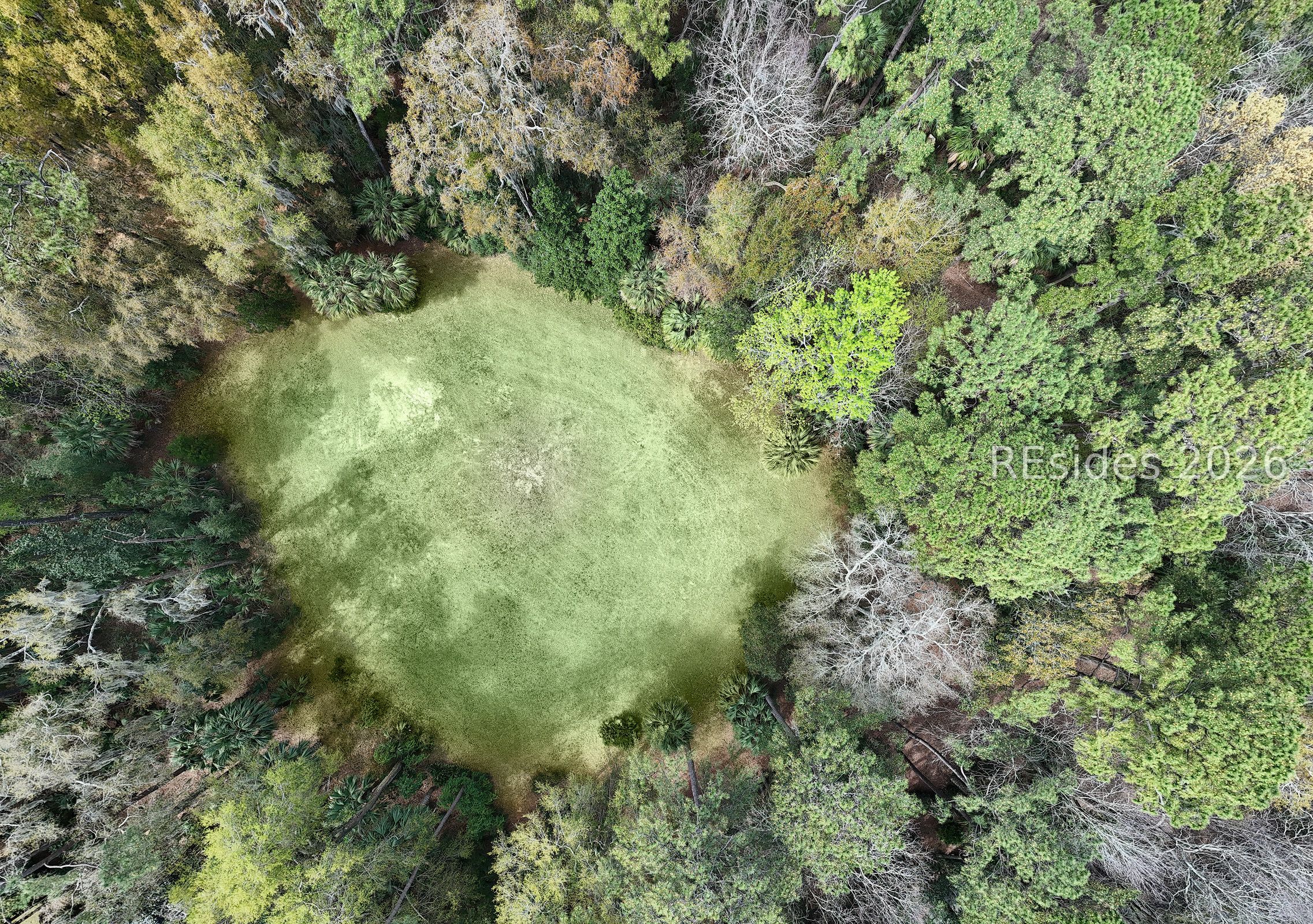 206 Spring Island Drive