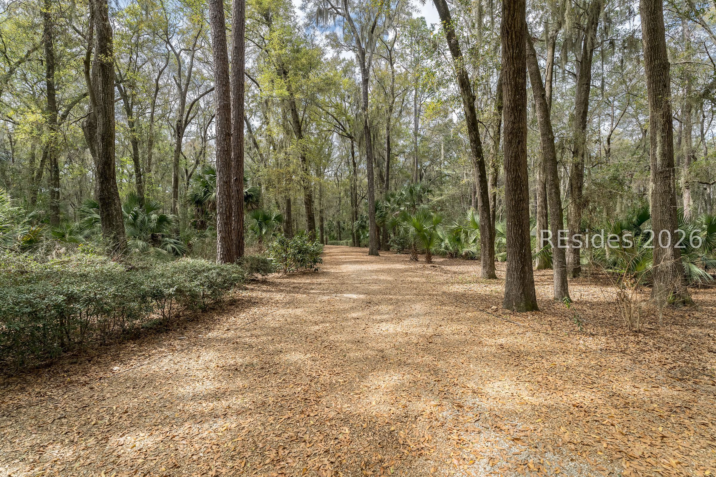 206 Spring Island Drive