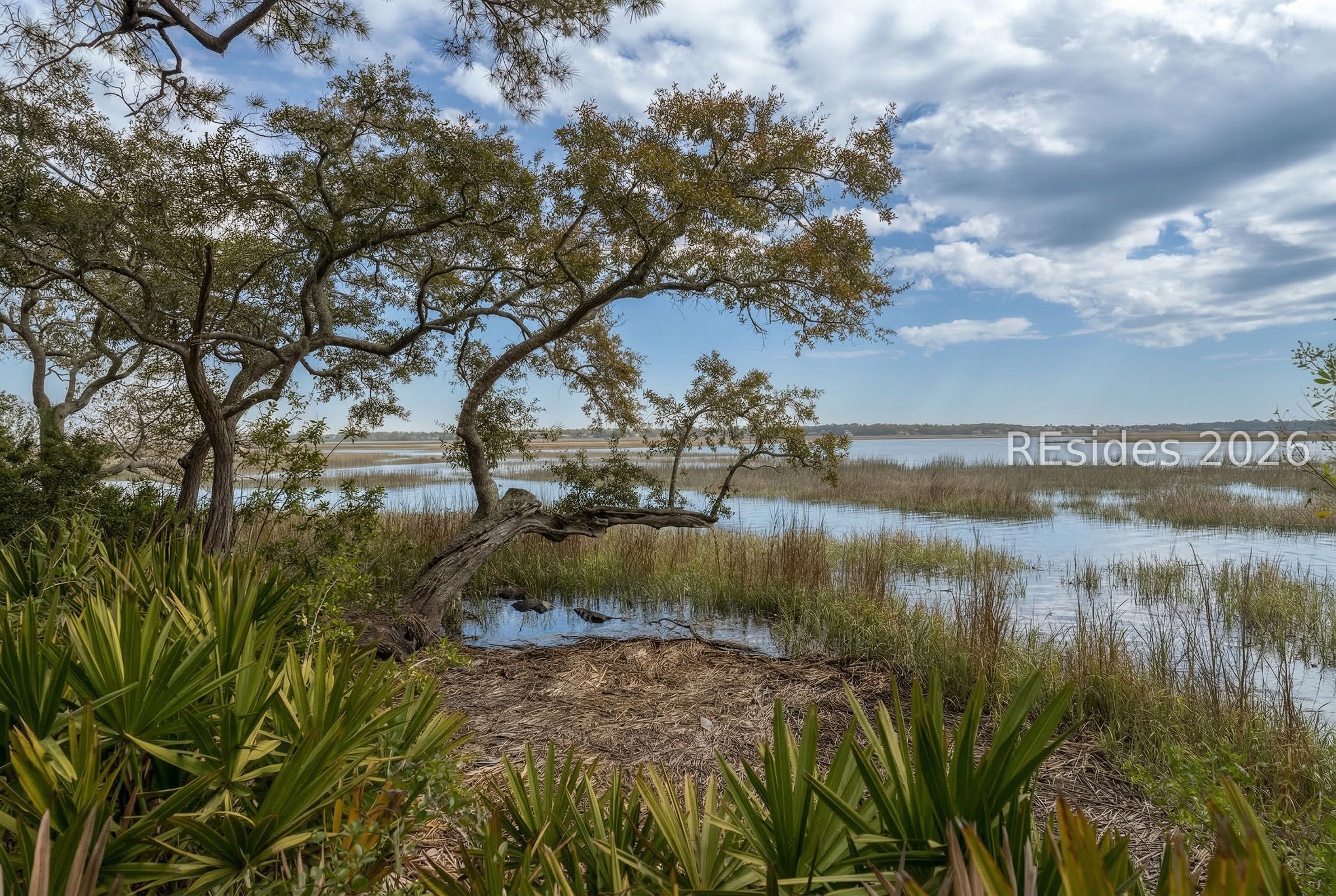 206 Spring Island Drive