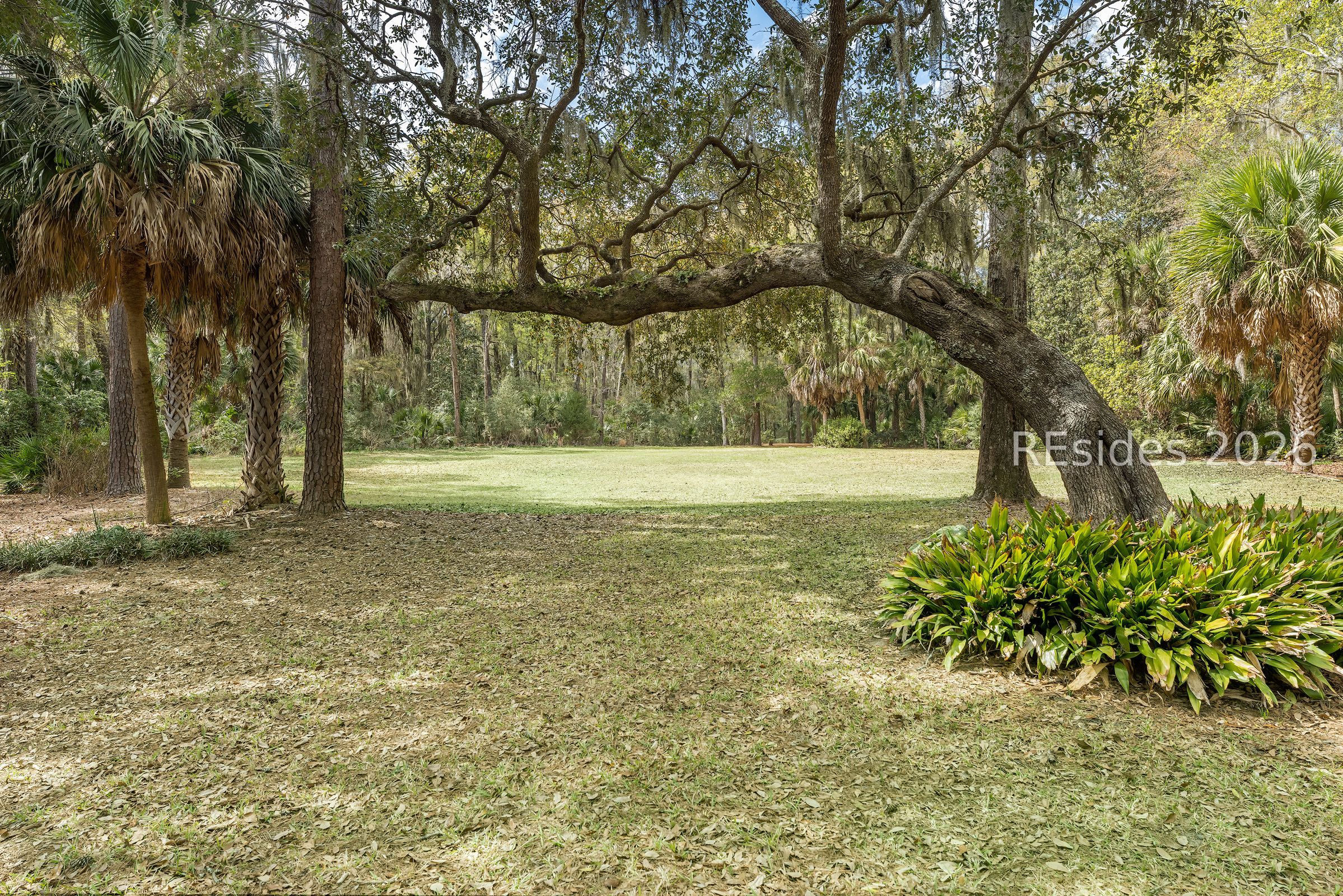 206 Spring Island Drive