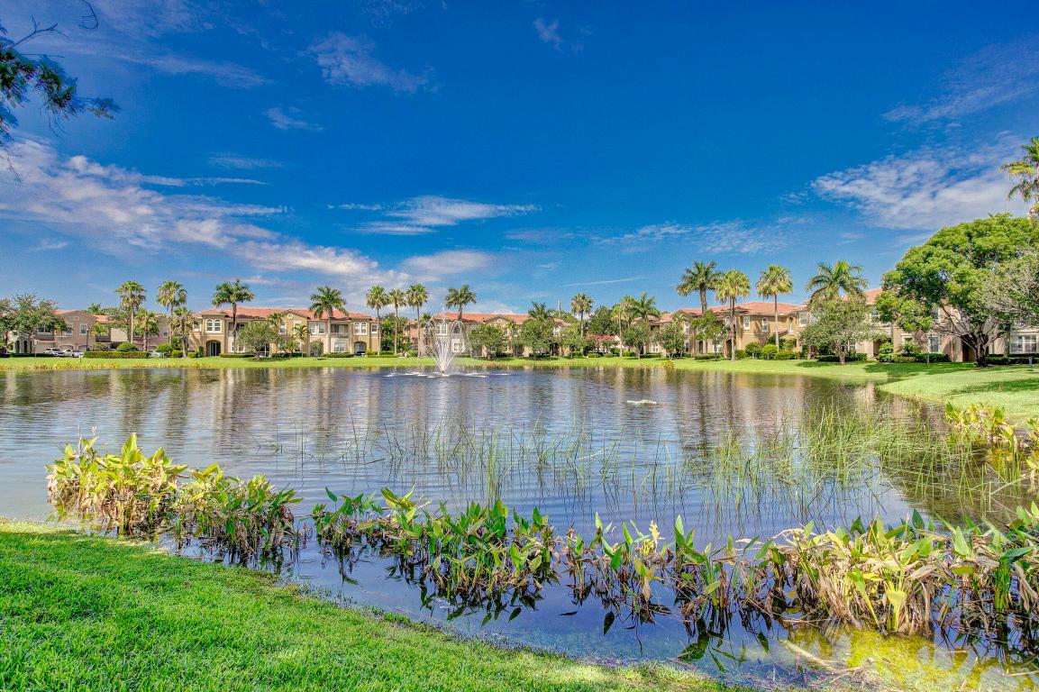 4986 Bonsai Circle 214