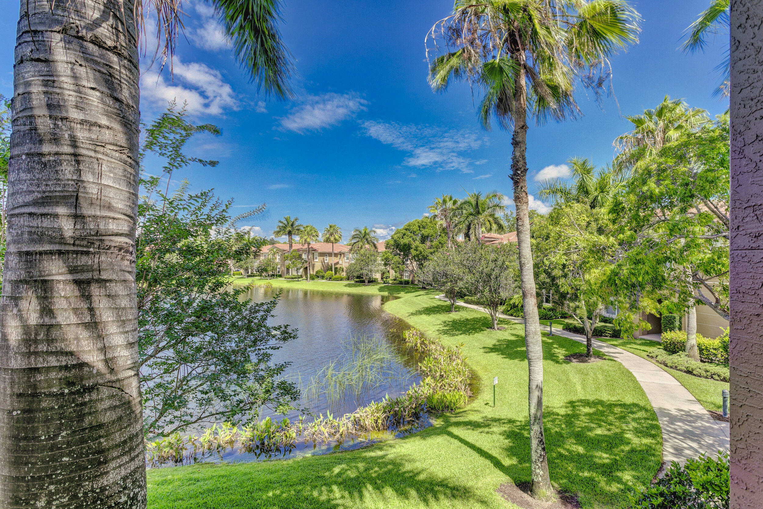 4986 Bonsai Circle 214