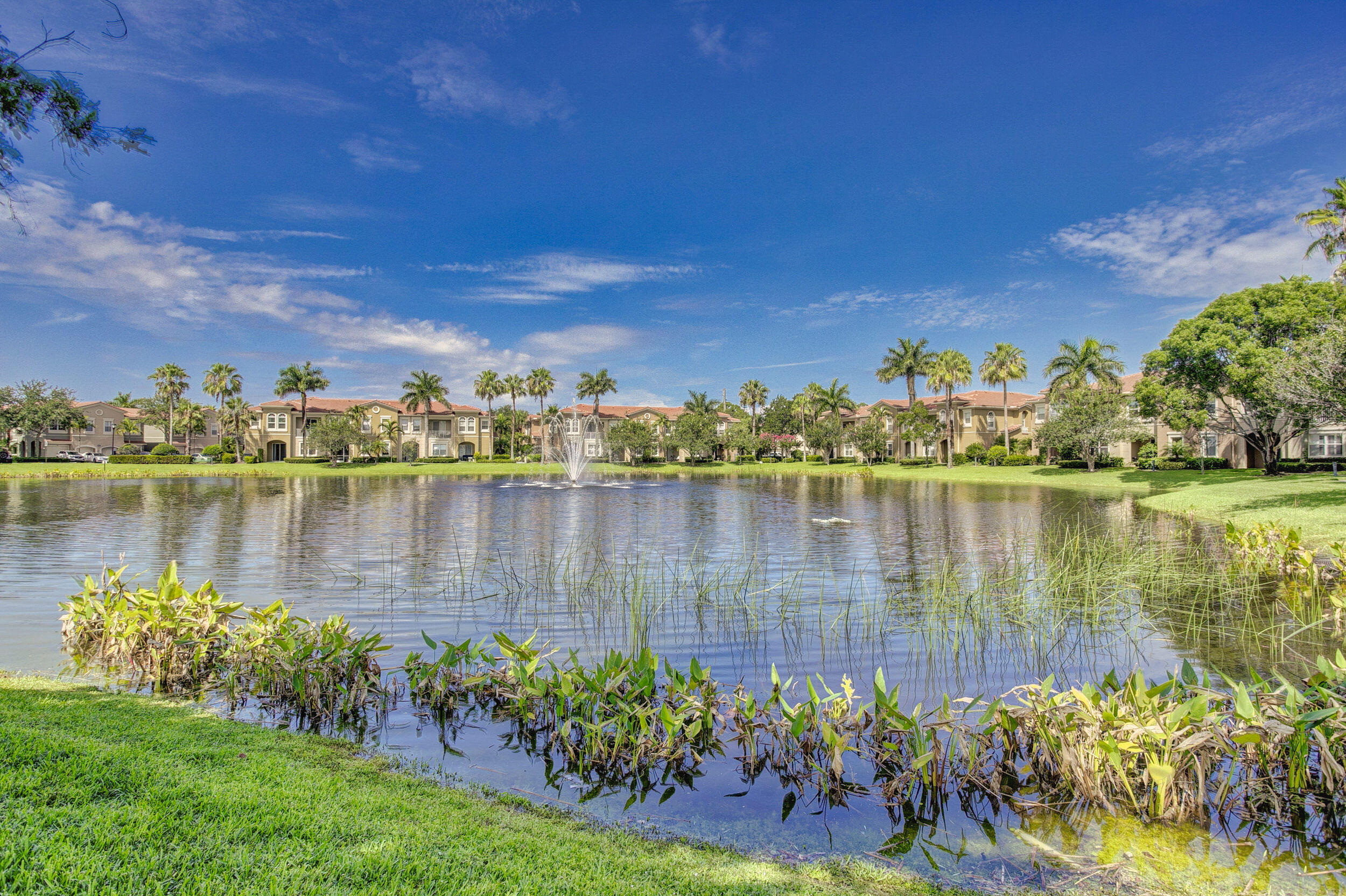 4986 Bonsai Circle 214