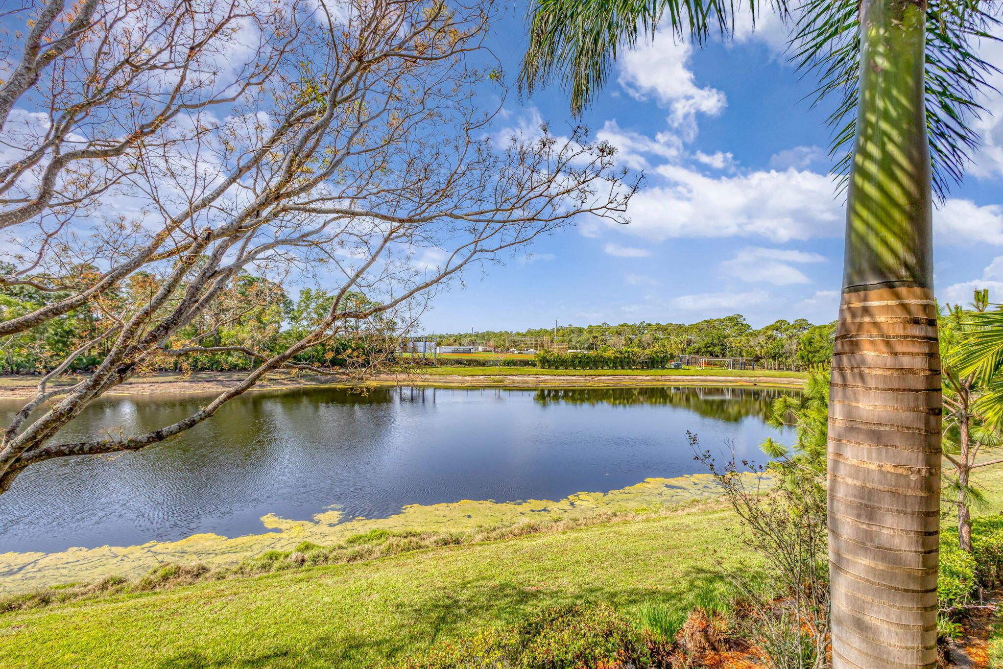 4941 Bonsai Circle 211