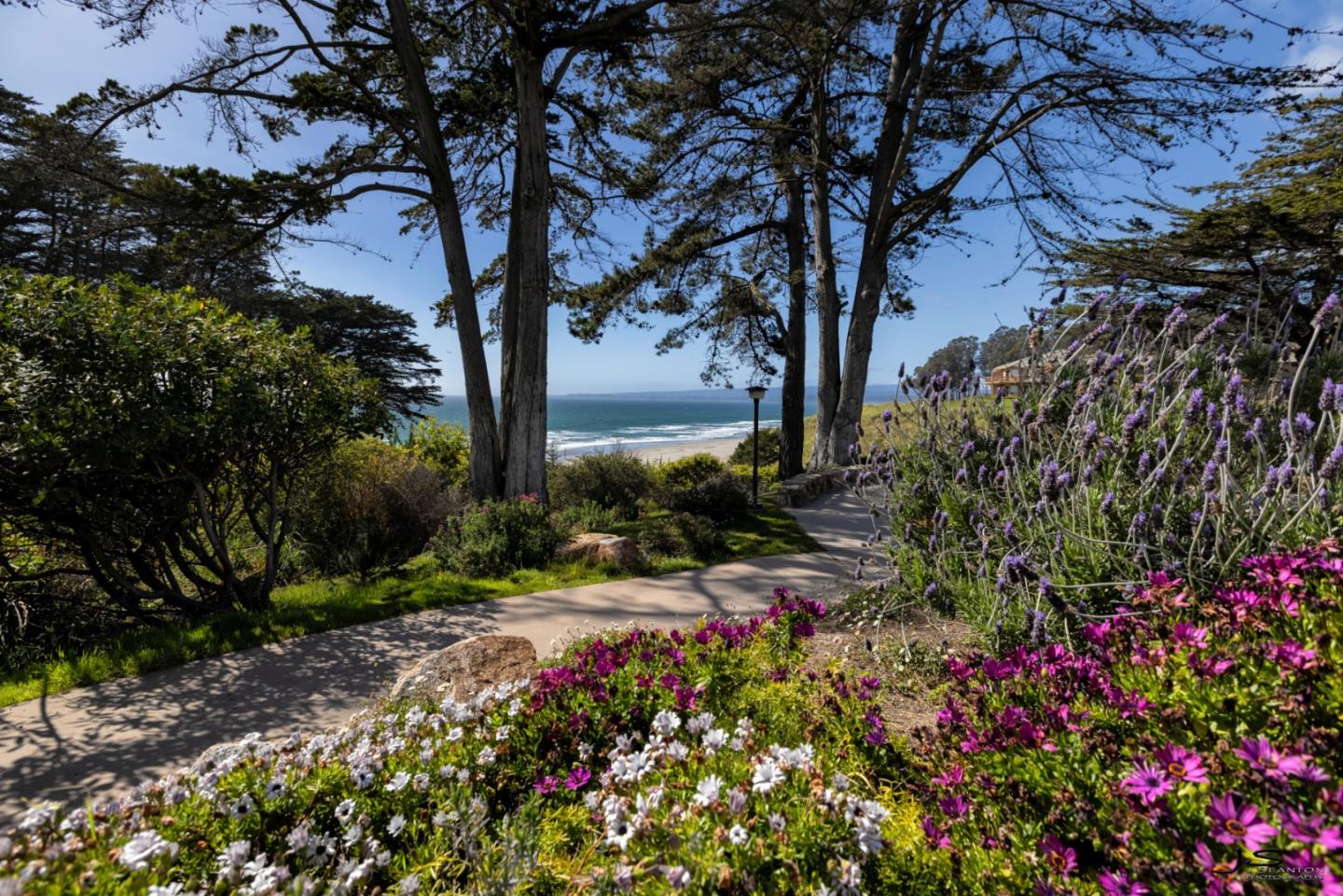 123 Seascape Resort Drive 123