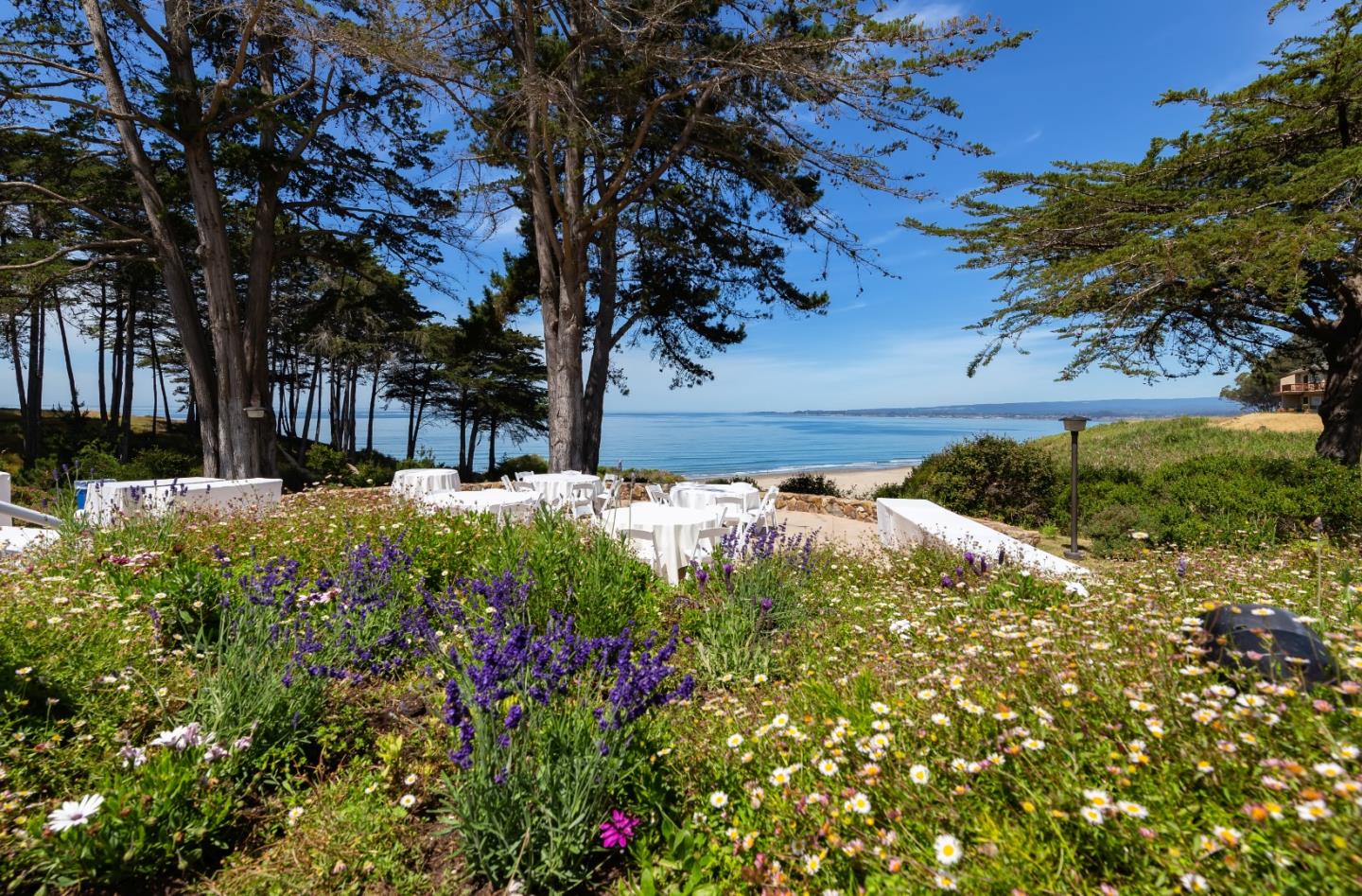 123 Seascape Resort Drive 123