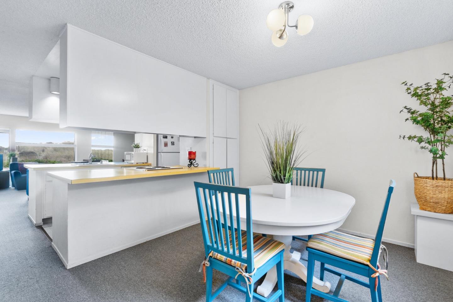 101 Shell Drive 244