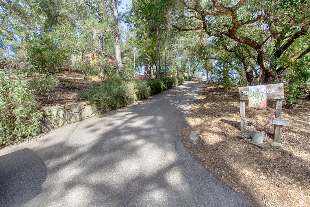 79 Pine Avenue