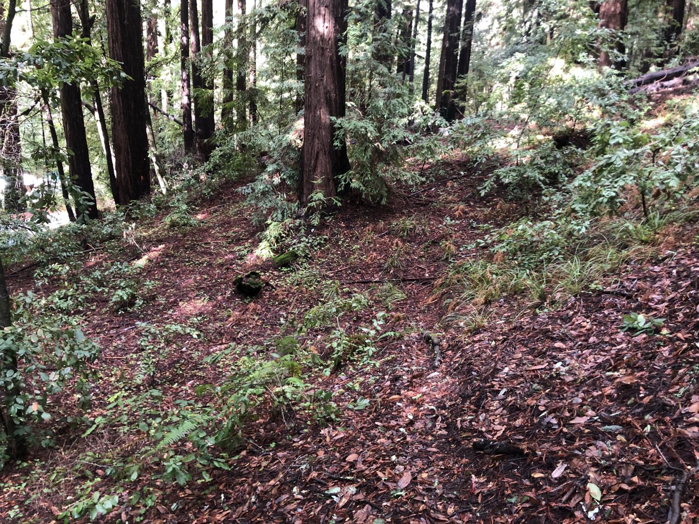 0 Eureka Canyon Road