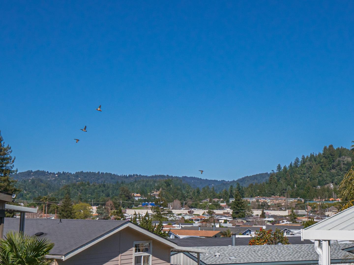 444 Whispering Pines Drive Unit: 51