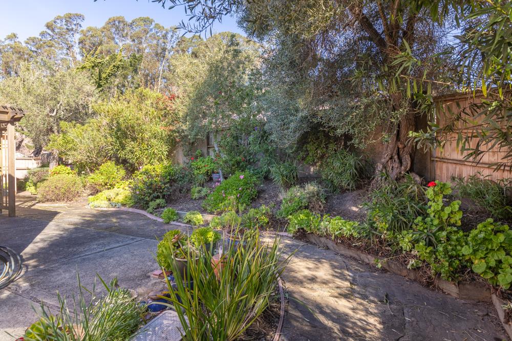 247 Arroyo Seco