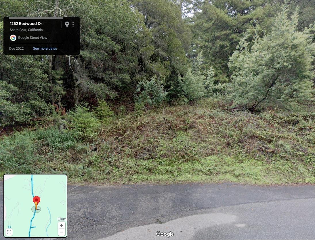 00 Redwood