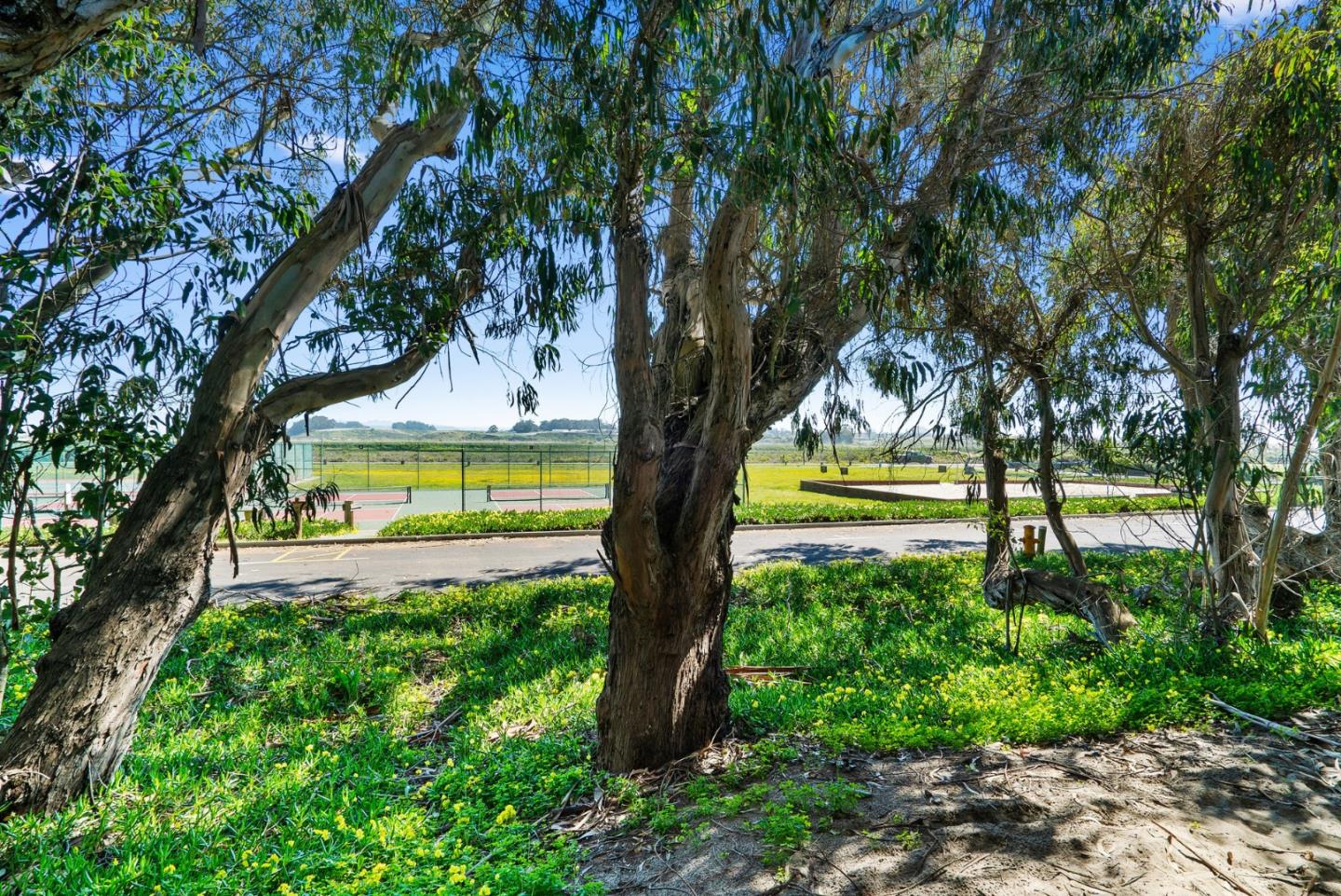 37 Shearwater Lane