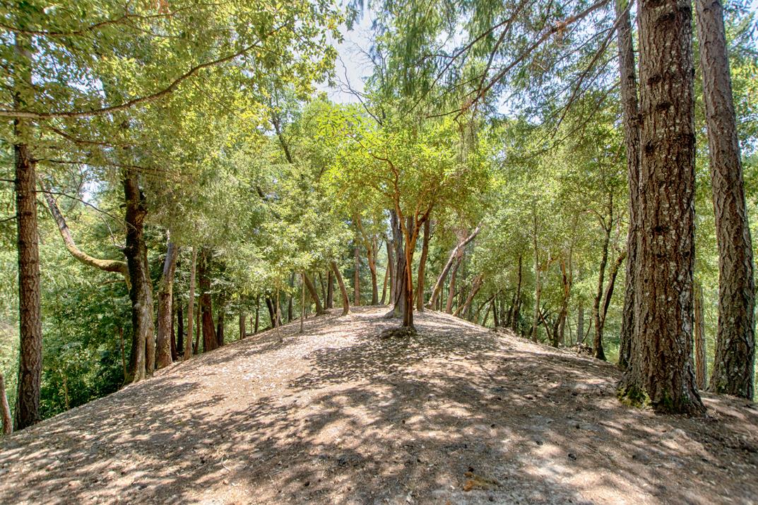 430 Tinkers Trail