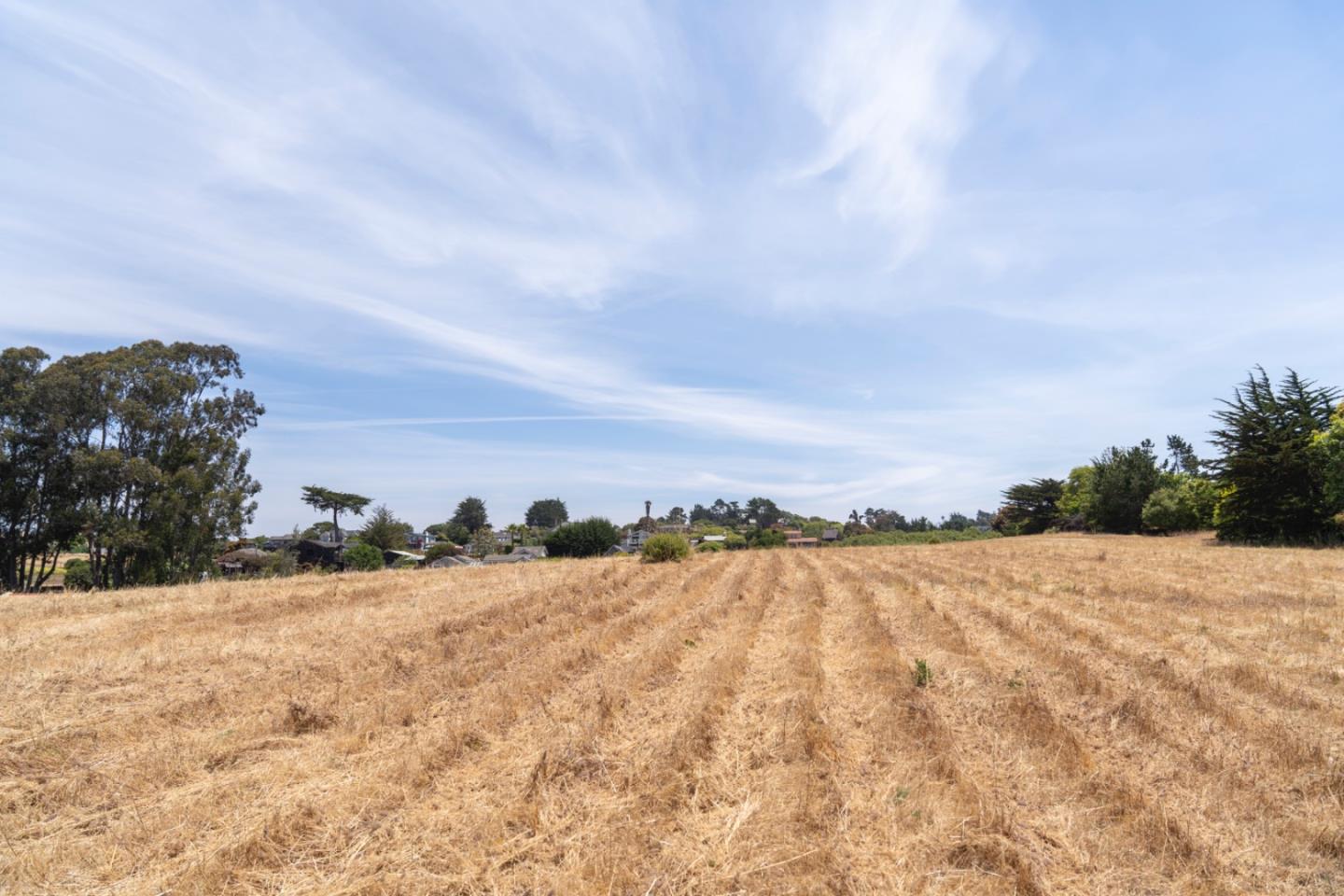 000 Lilly WAY