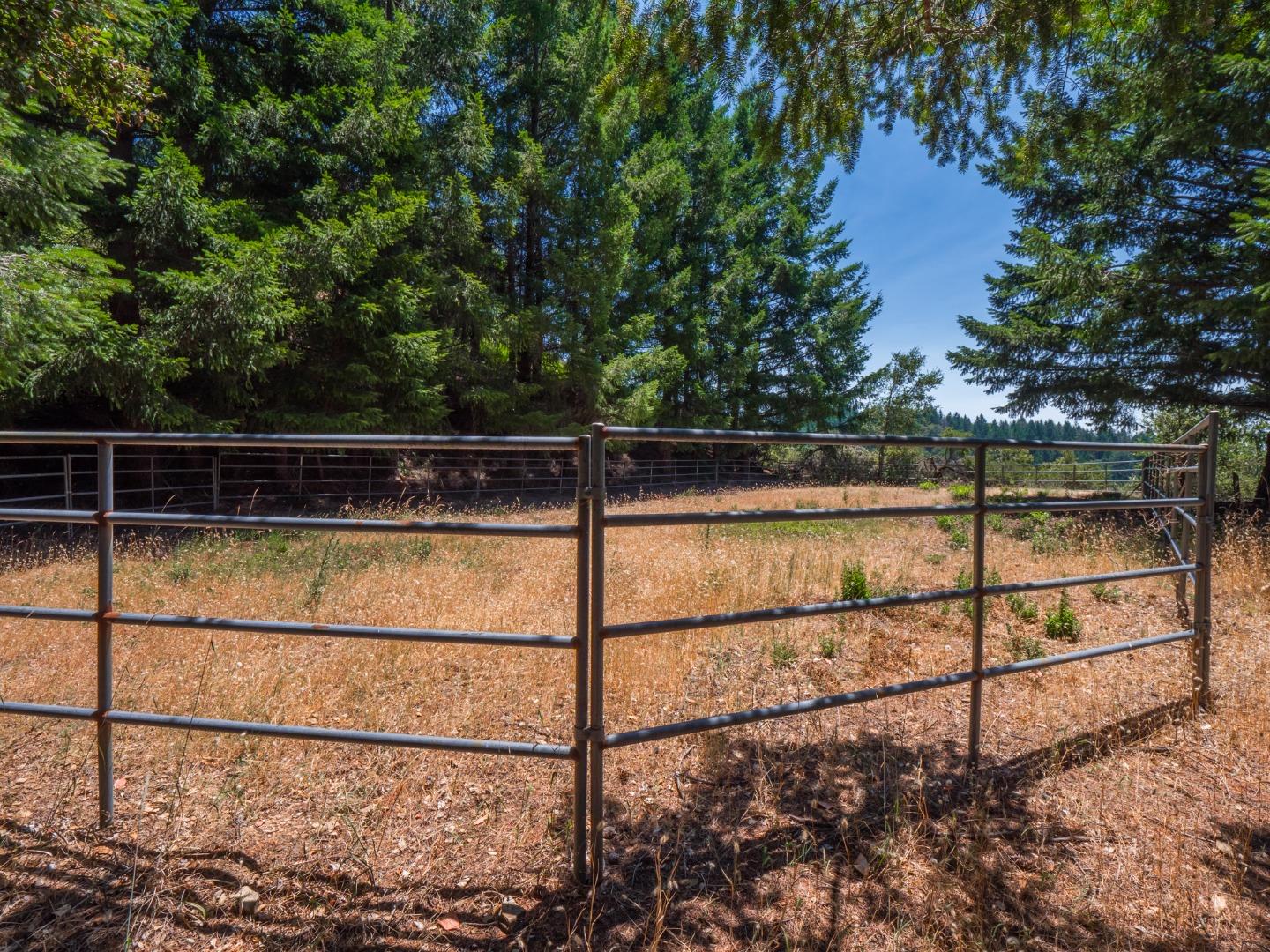 12333 Indian Trail Road