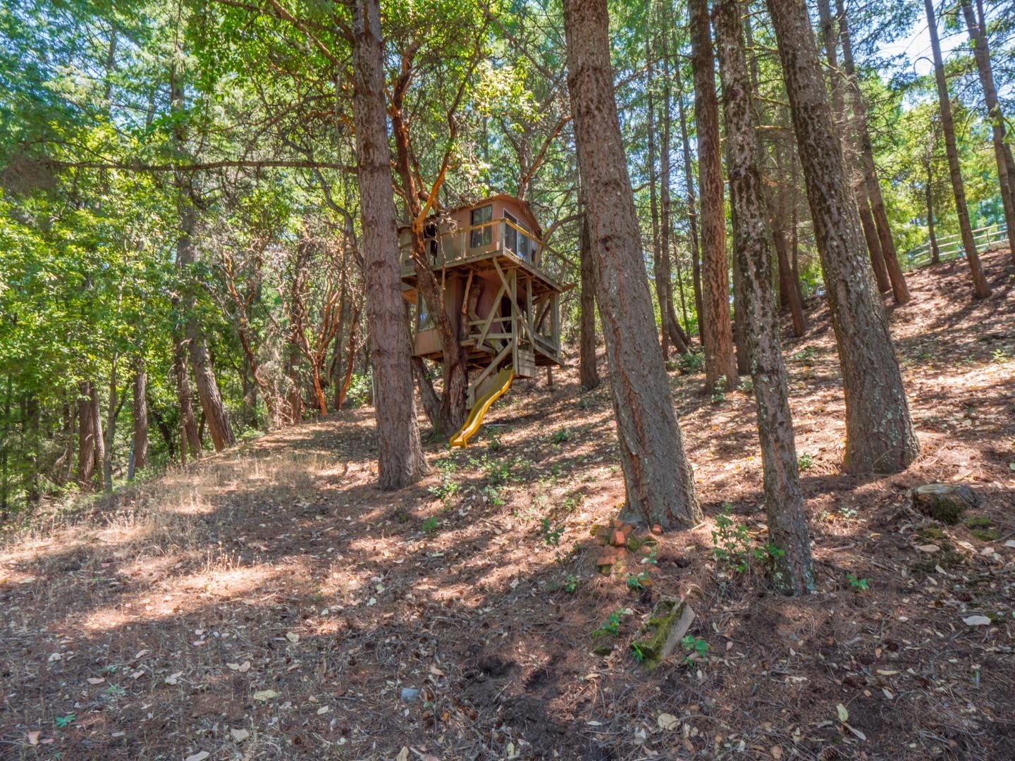12333 Indian Trail Road