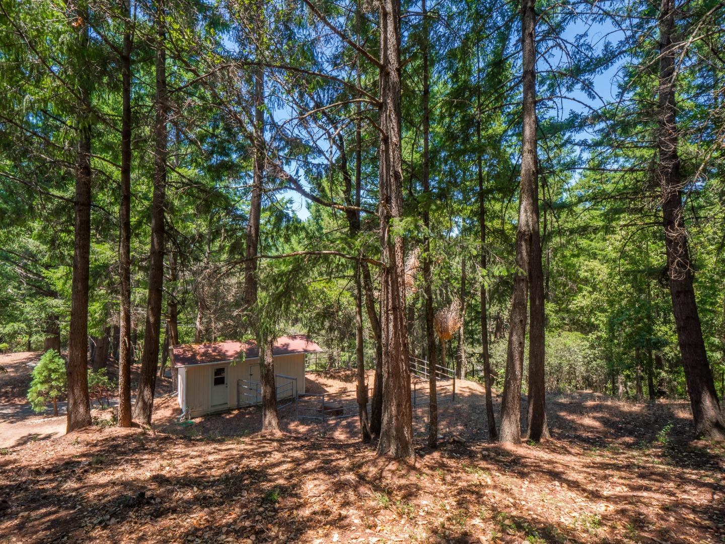12333 Indian Trail Road