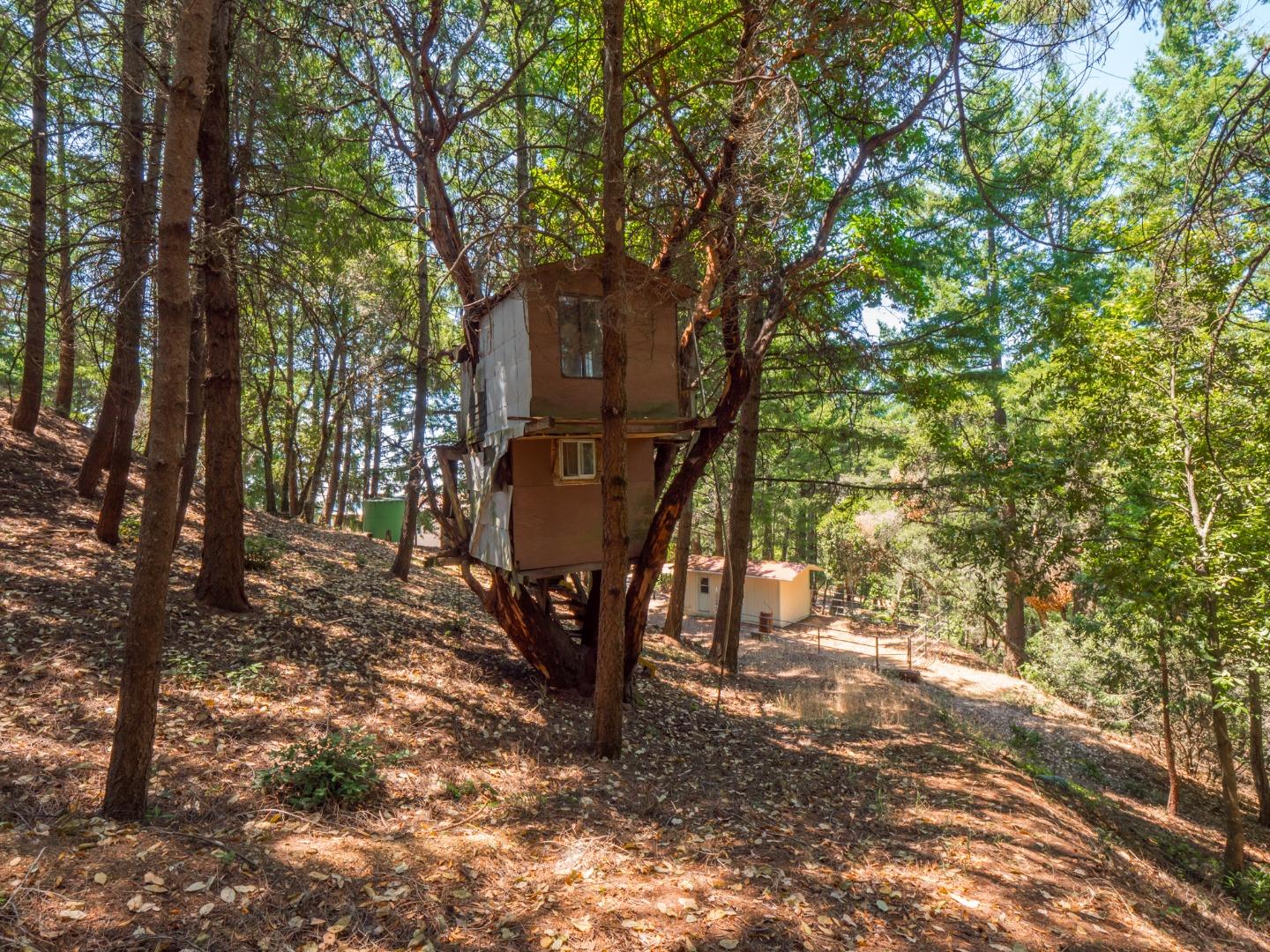 12333 Indian Trail Road