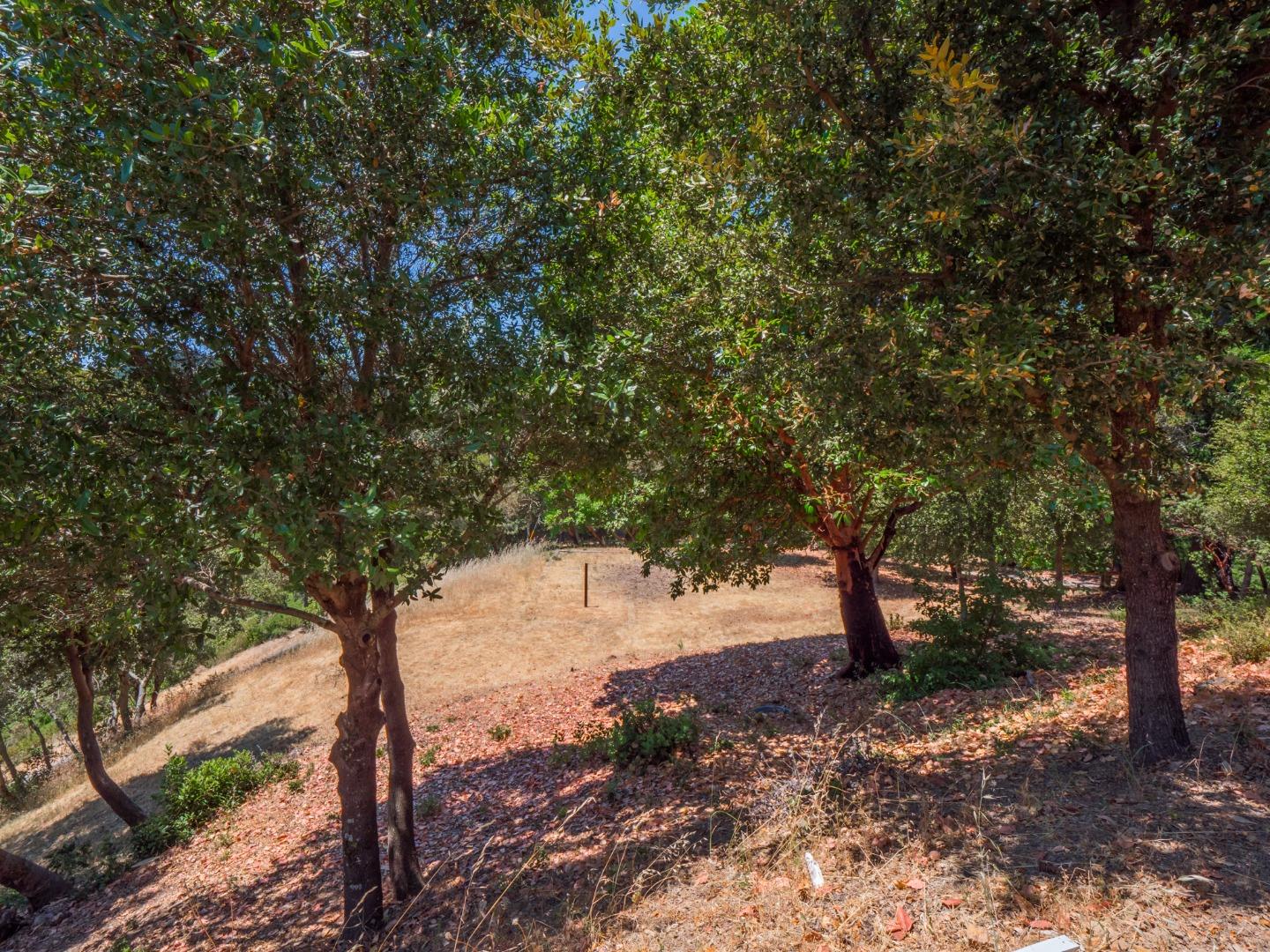 12333 Indian Trail Road