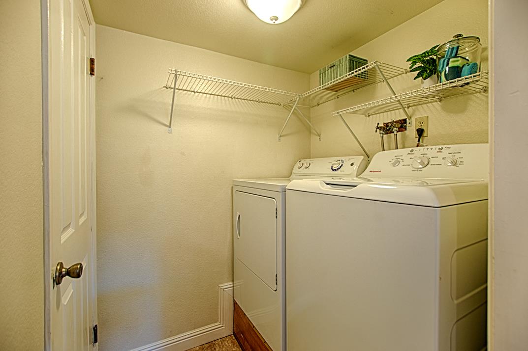 137 Peach Terrace