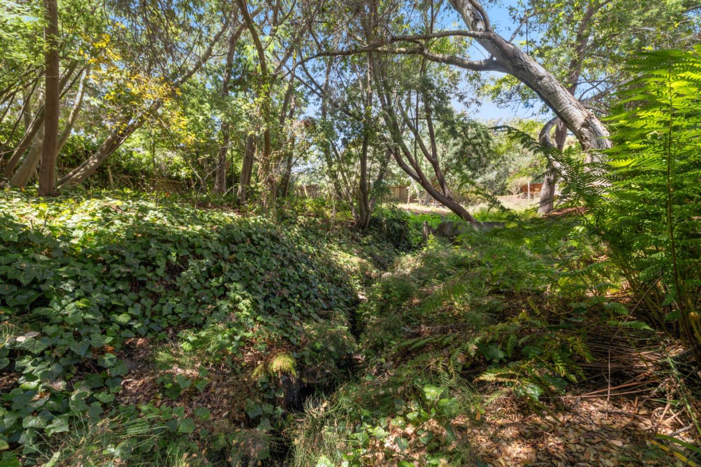 2 Pasatiempo DR
