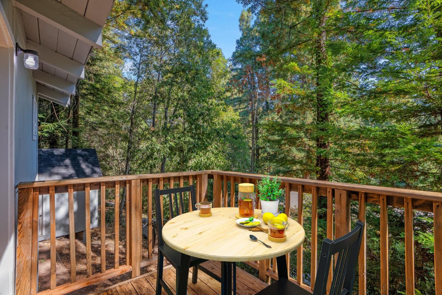 1111 Forest Way