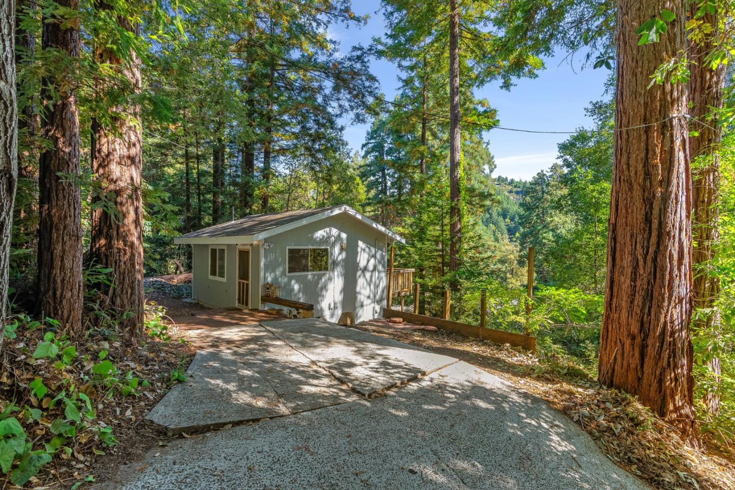 1111 Forest Way