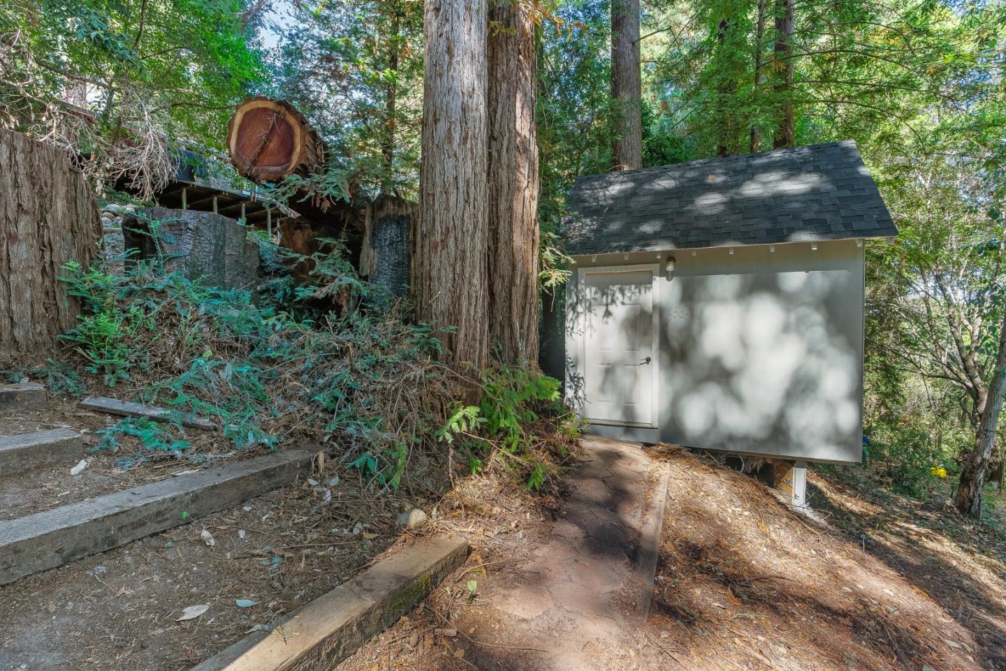 1111 Forest Way