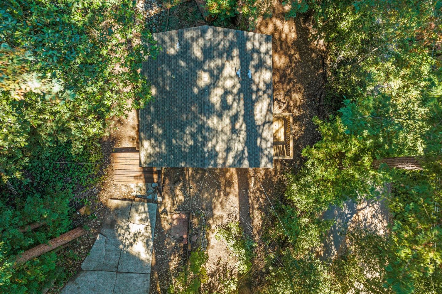 1111 Forest Way
