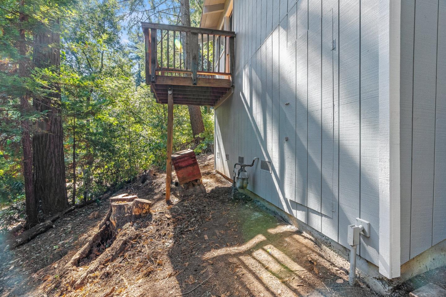 1111 Forest Way