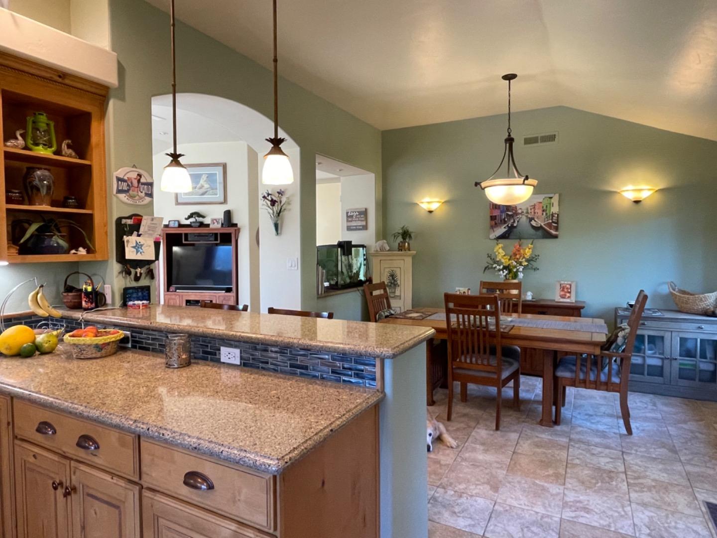 291 Larkin Vista Lane