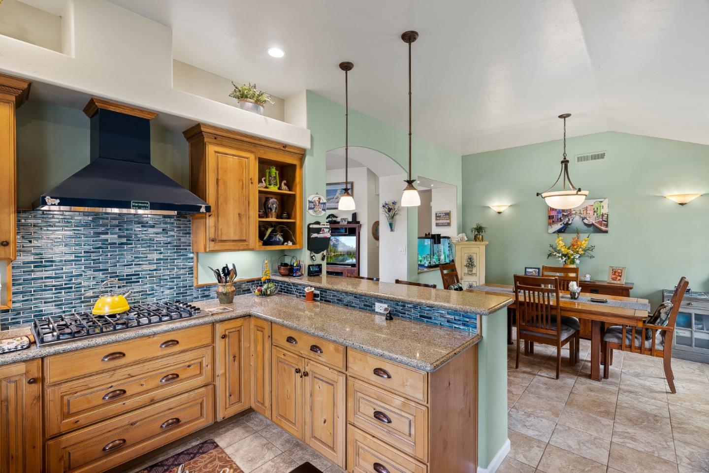 291 Larkin Vista Lane