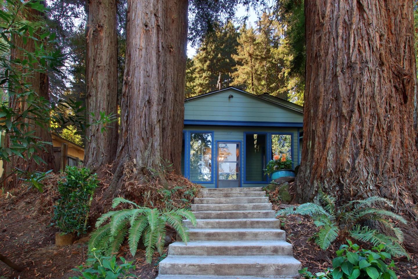 117 Gail Drive