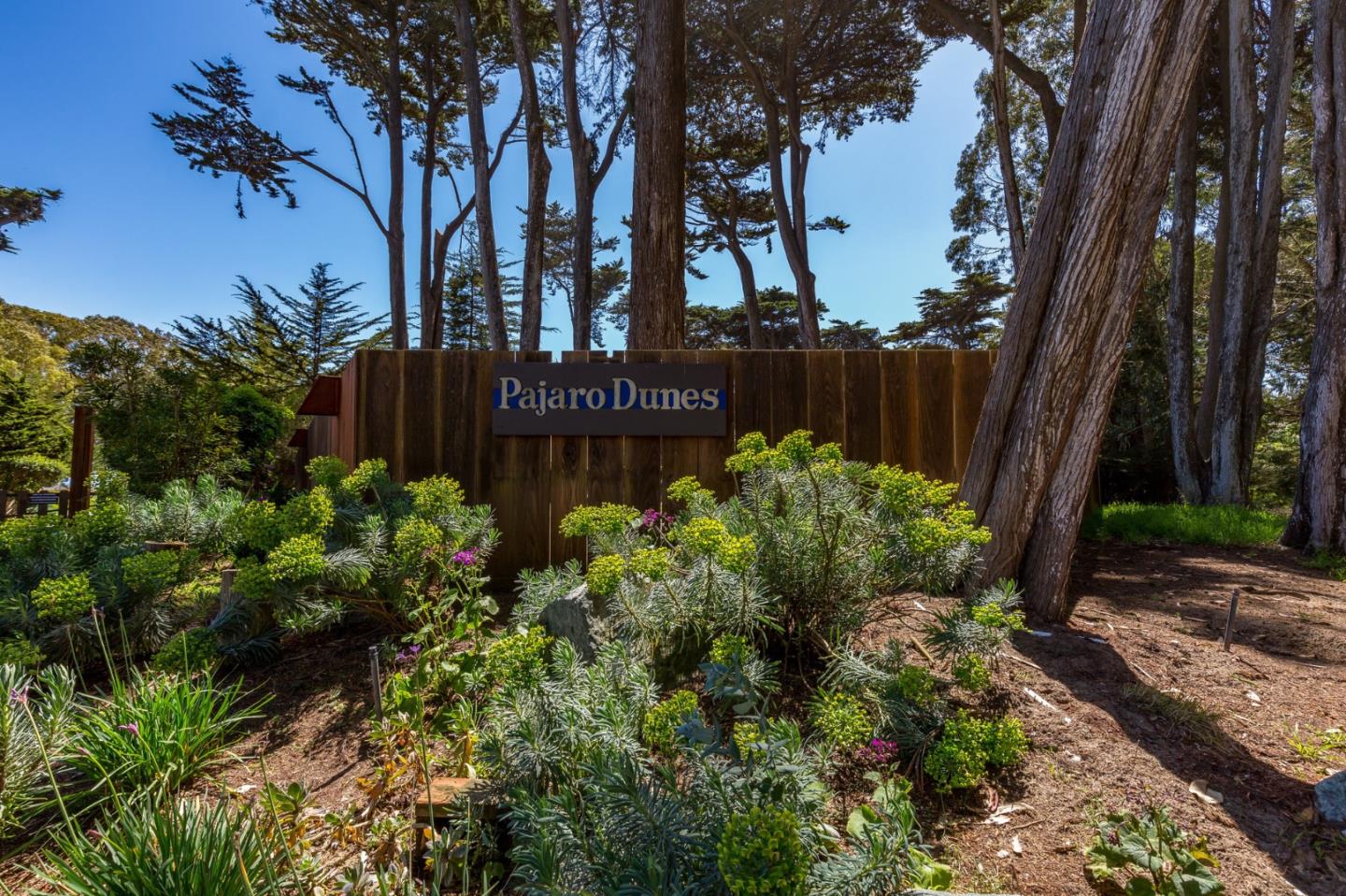 14 Pelican Point